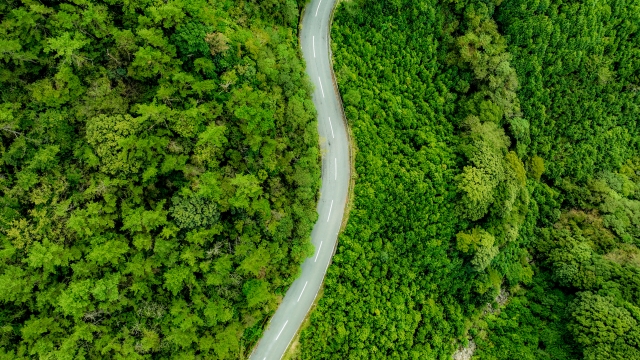 道路空撮画像