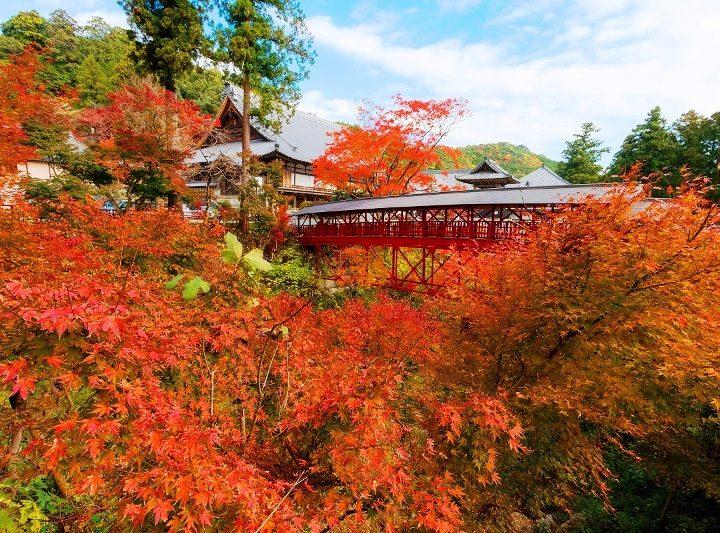 方広寺2