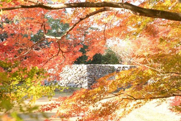 二俣城址 城山公園