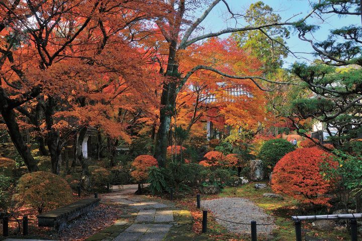 龍潭寺