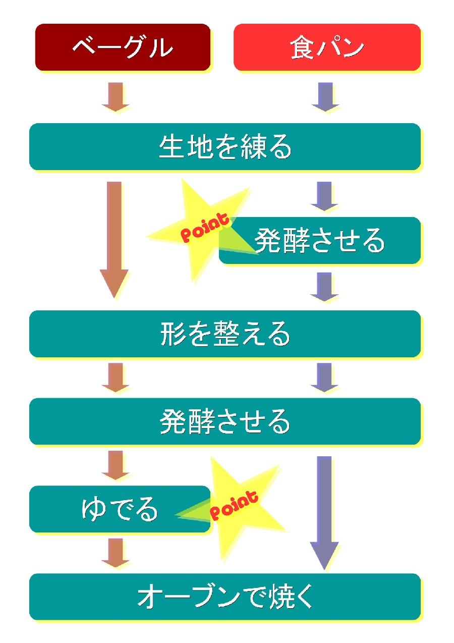 ベーグルと普通のパンの作り方の違い