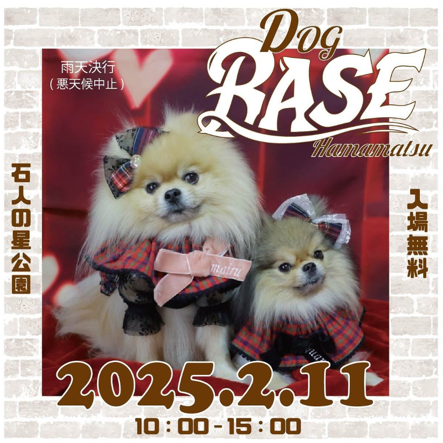 DOG BASE
