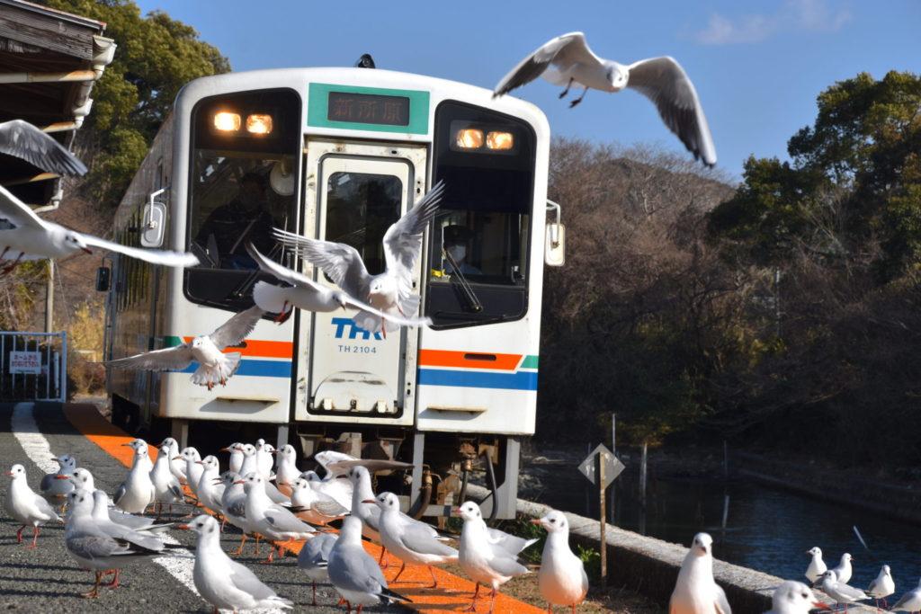 天竜浜名湖鉄道の浜名湖佐久米駅２